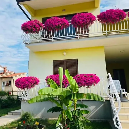 Apartman Mison *